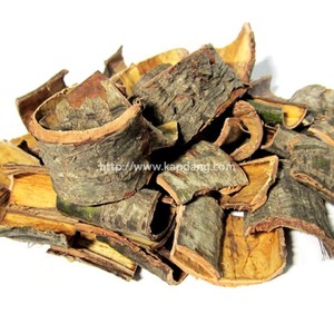 자연산  충북제천 마가목나무껍질 300g(마가목껍질,정공등,정공피)
